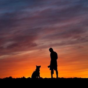 Meet your Posher, Wyatt